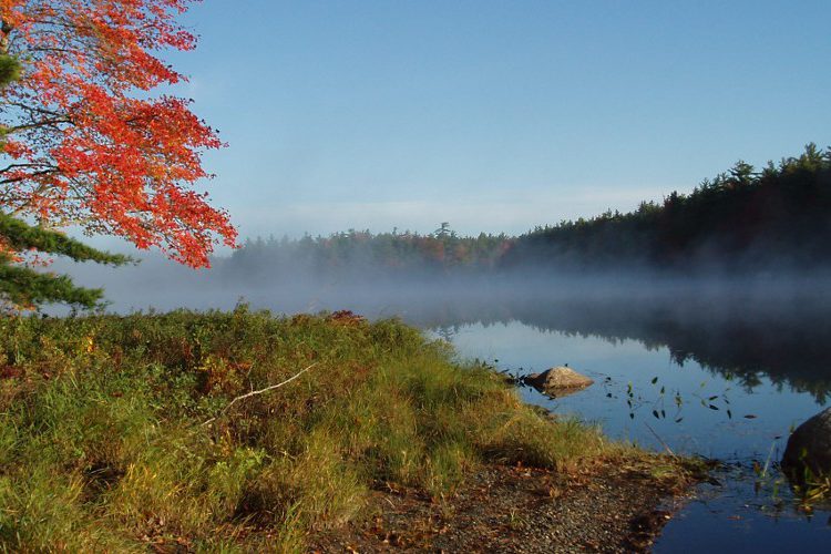 Herbstliche Farben Am See