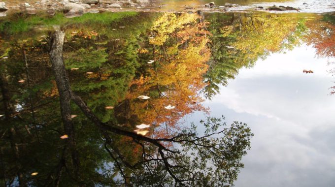 Herbstfluss Nova Scotia
