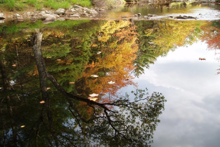 Herbstfluss Nova Scotia